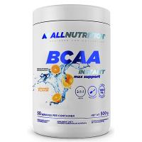 картинка Аминокислота с глютамином БЦАА Allnutrition BCAA Max Support Instant 500 г Апельсин