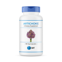картинка Добавка Артишок SNT Artichoke 90 капсул
