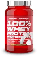 Протеин сывороточный Scitec Nutrition 100 % Whey Protein Professional 920 г Шоколад-орех