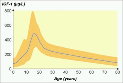 IGF-1: фактор роста, связанный с гормоном роста